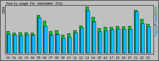 Hourly usage