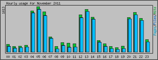 Hourly usage